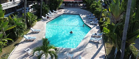 A rectangular pool with a swimmer, surrounded by lounge chairs and palm trees.