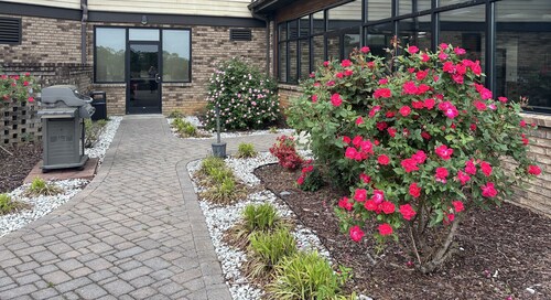 Comfort Inn and Suites Near Lake Guntersville