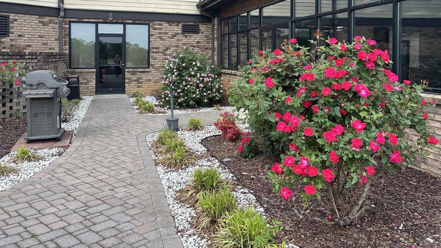 Comfort Inn and Suites Near Lake Guntersville