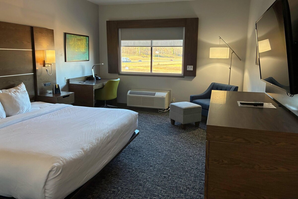 Hotelkamer met een groot bed, een bureau met stoel, een televisie en een raam met uitzicht op een park.
