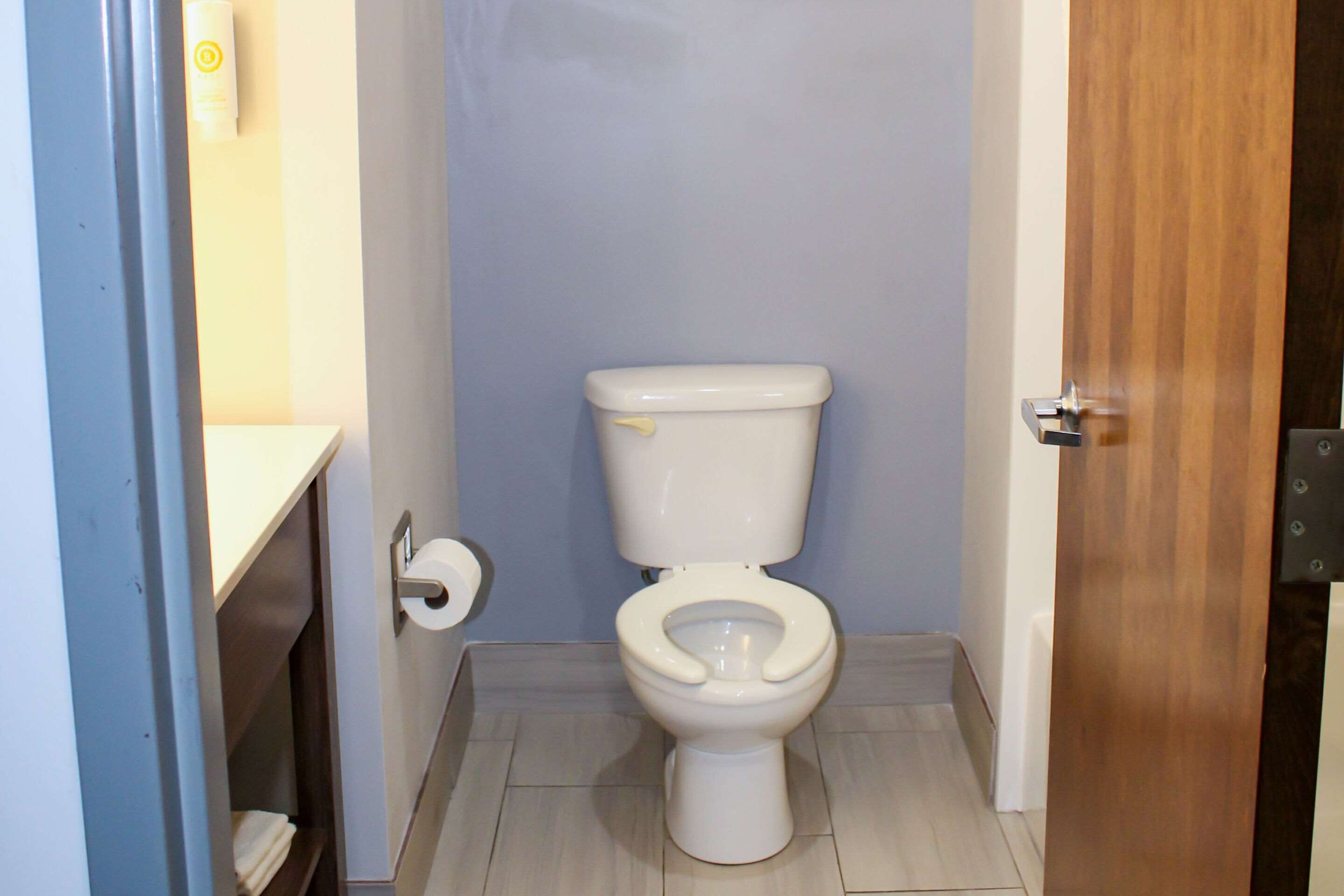 A small bathroom with a toilet, a roll of toilet paper, and a wooden door.