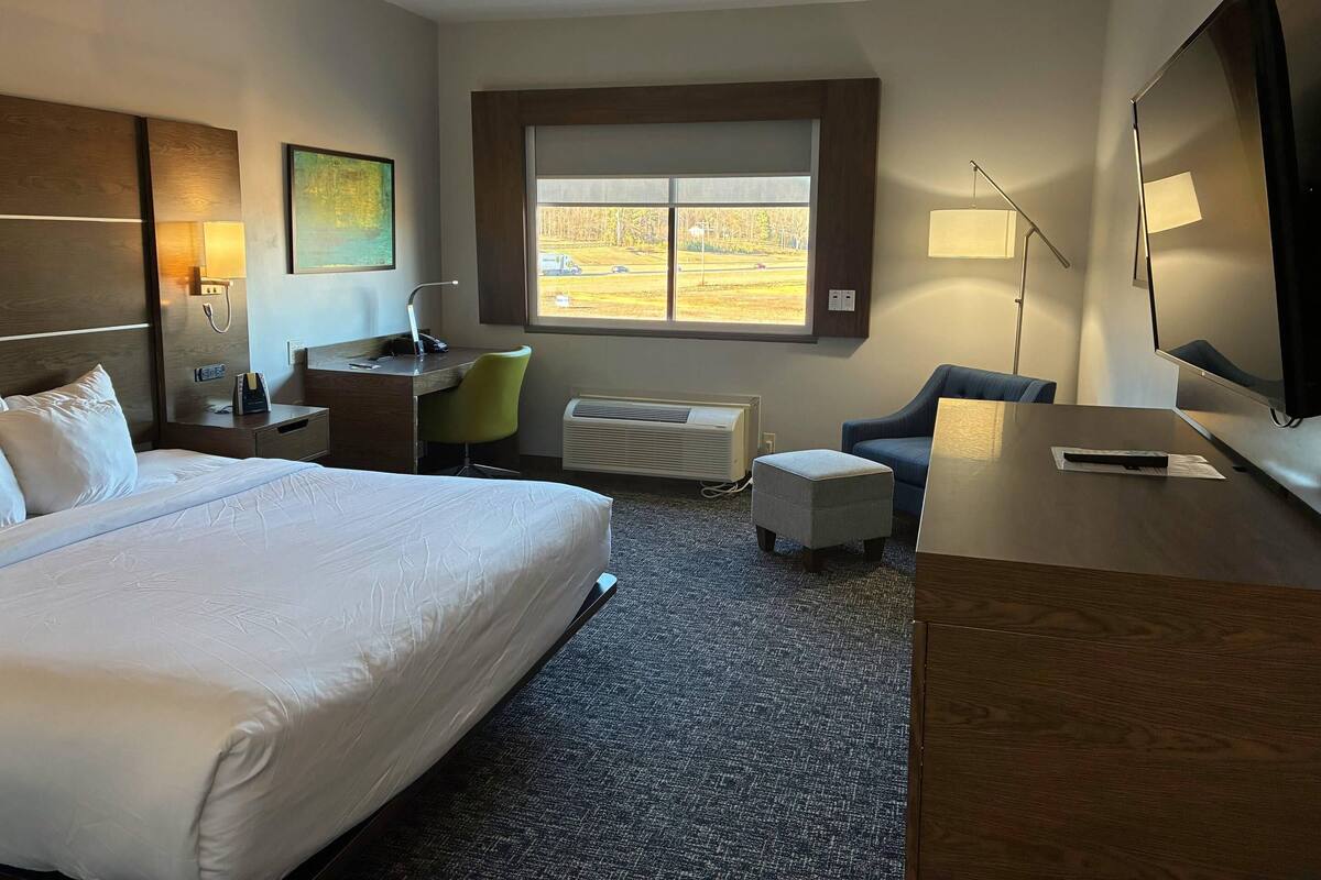 Hotelkamer met een groot bed, een bureau met stoel, een televisie en een raam met uitzicht op een park.