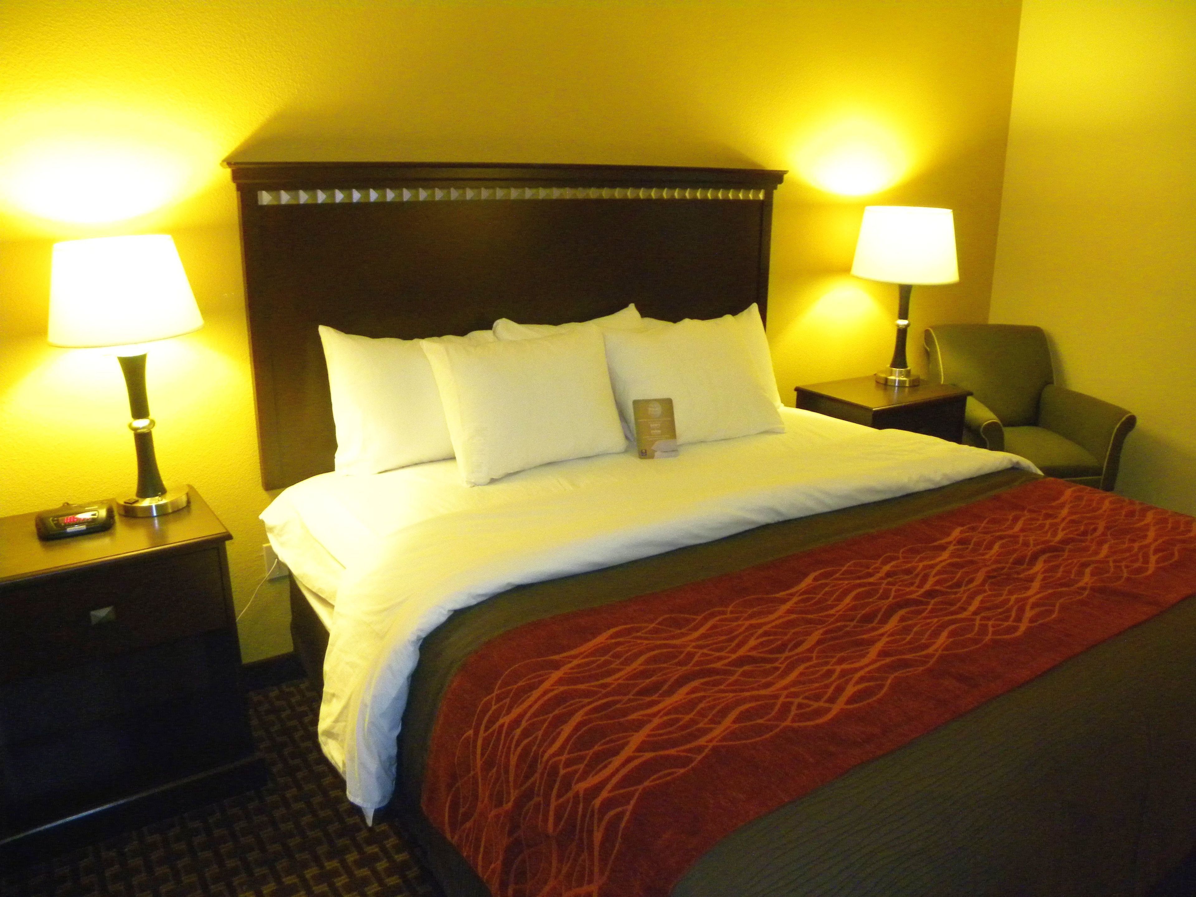 standard room, 1 king bed, non smoking | desk, laptop workspace, iron/ironing board, free wifi