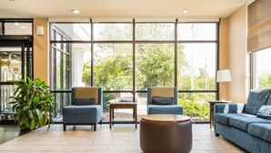 Un hall d’entrée moderne avec de grandes fenêtres, un espace détente avec des canapés et des fauteuils, une table basse ronde et une plante en pot.