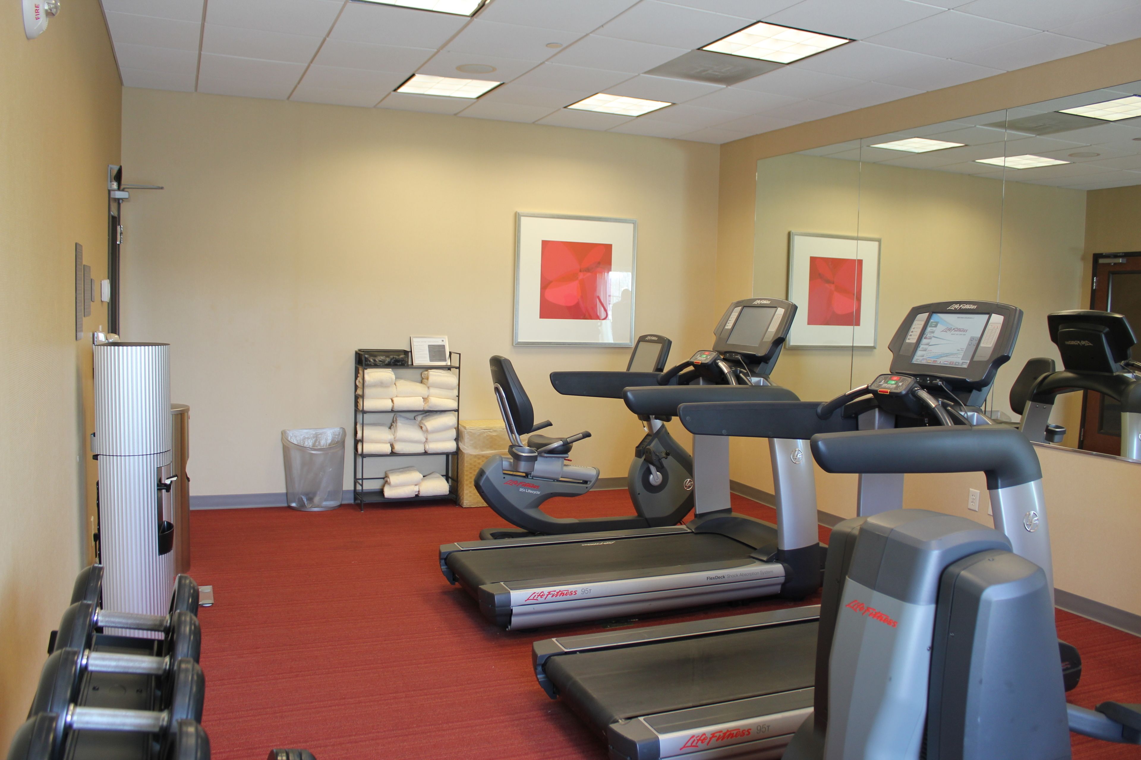 Une salle de sport équipée de tapis de course, de vélos d’appartement et d’une machine de musculation.