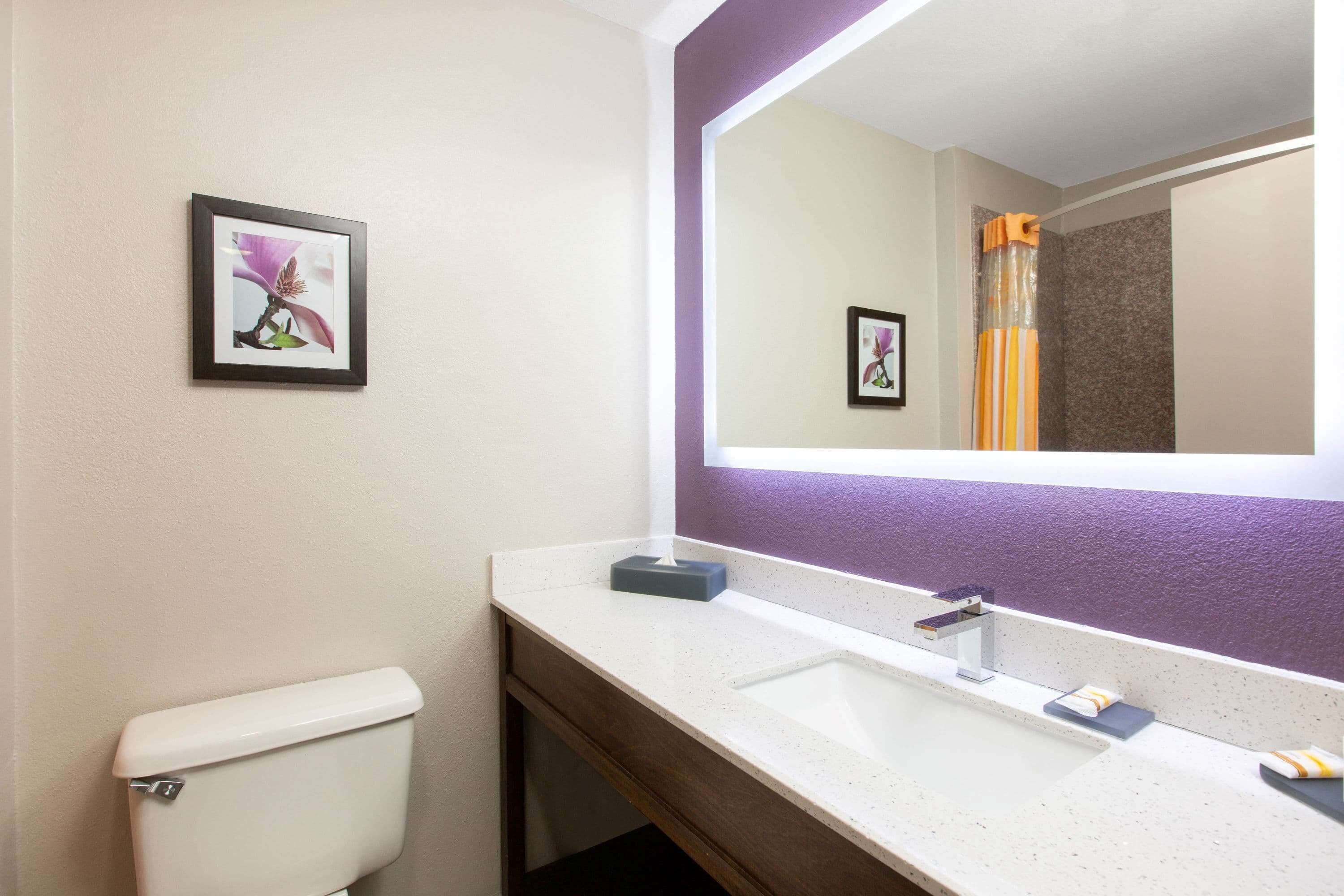 A bathroom with a white toilet, a sink with a mirror, and a framed picture on the wall.