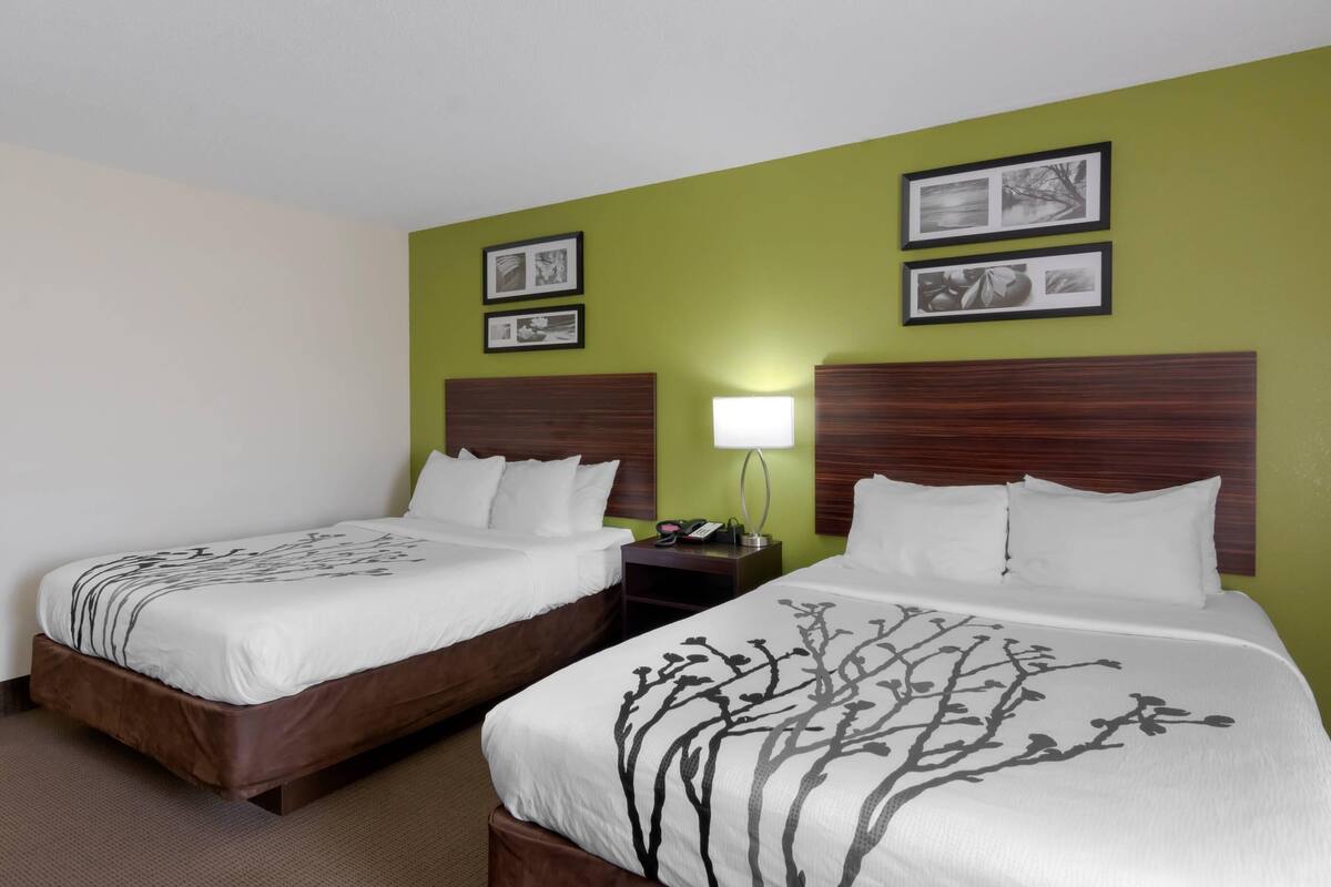 A hotel room with two beds, a nightstand with a lamp, and wall-mounted pictures.