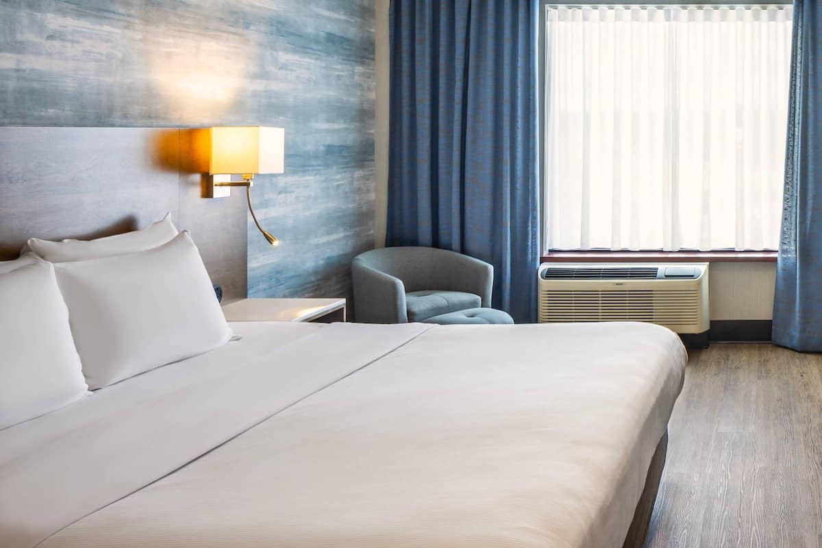 Kamer, 1 kingsize bed, toegankelijk voor mindervaliden | Luxe beddengoed, een kluis op de kamer, een bureau