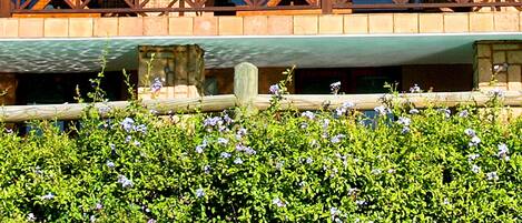 A hotel with a balcony, lush greenery, and a stone facade.
