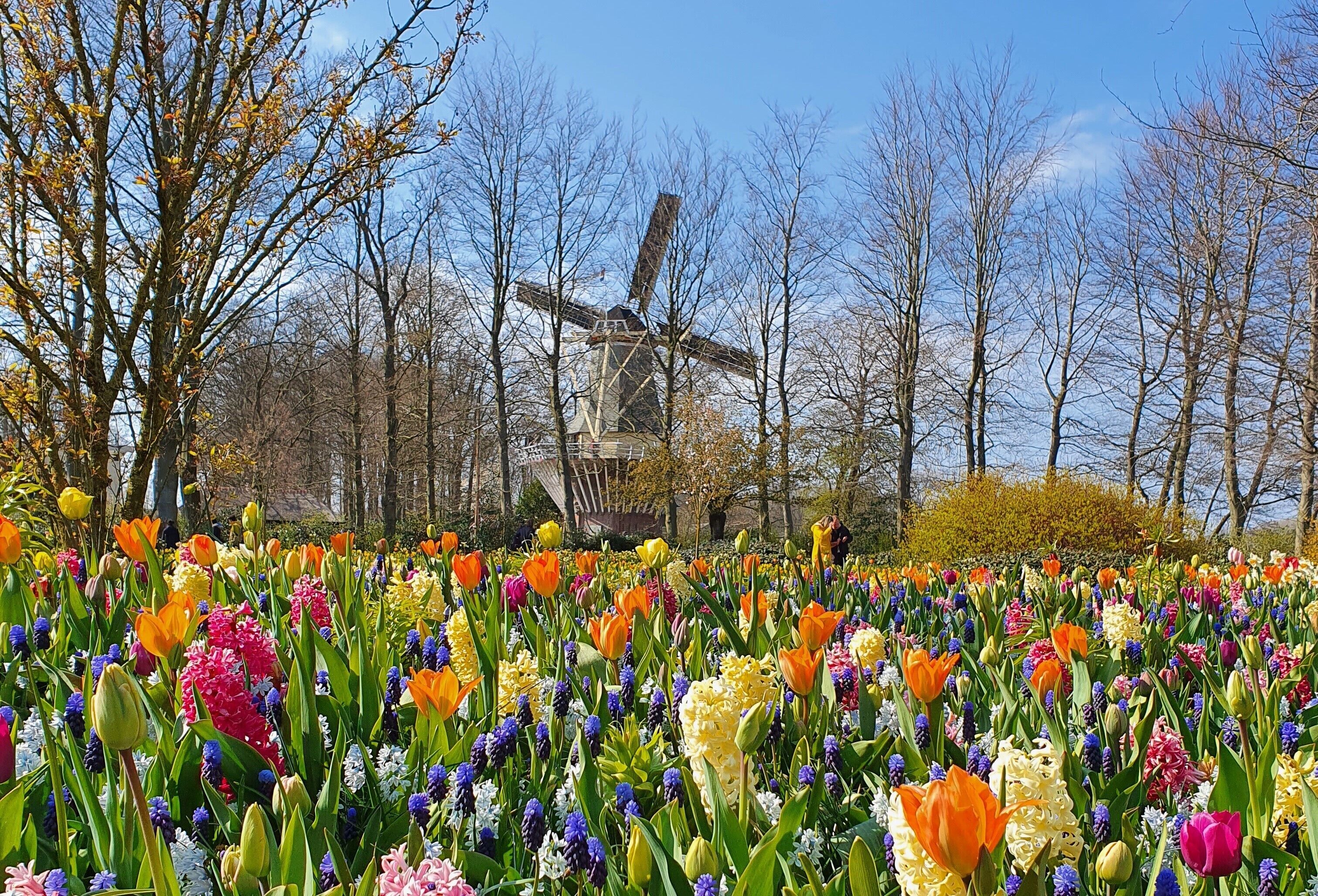 Foto - Bed & Breakfast Hotel Malts