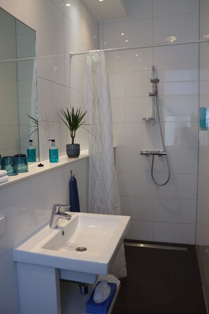 Regadera, amenidades de baño gratuitas, secadora de cabello, toallas 