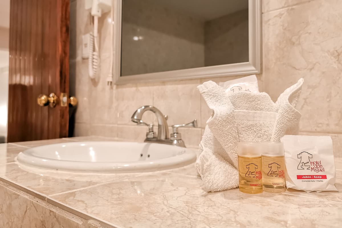 shower, rainfall showerhead, free toiletries, hair dryer