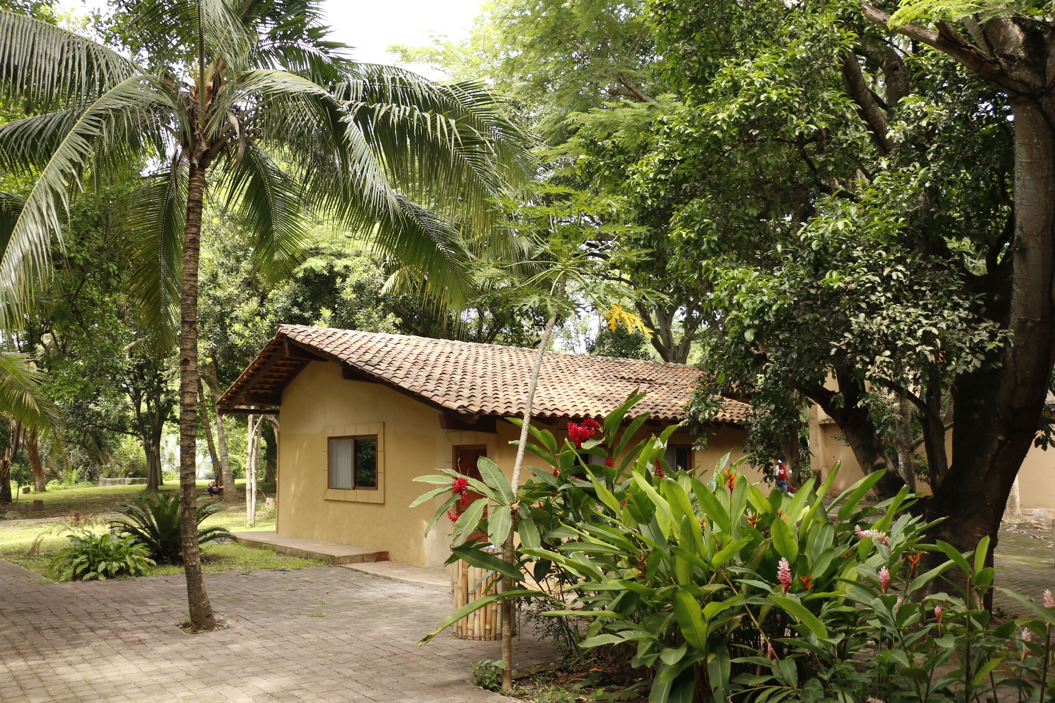 Campestre | Blackout drapes, bed sheets