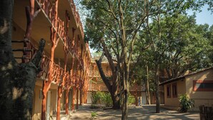 Un patio con un árbol, un edificio de fachada roja y un cielo despejado.