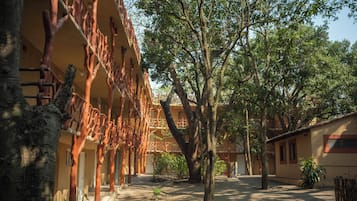 Phòng Superior | Màn/rèm cản sáng, bộ trải giường