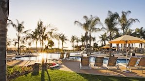 A poolside area with lounge chairs and umbrellas, surrounded by palm trees. - MarBrisa Carlsbad Resort (Carlsbad)