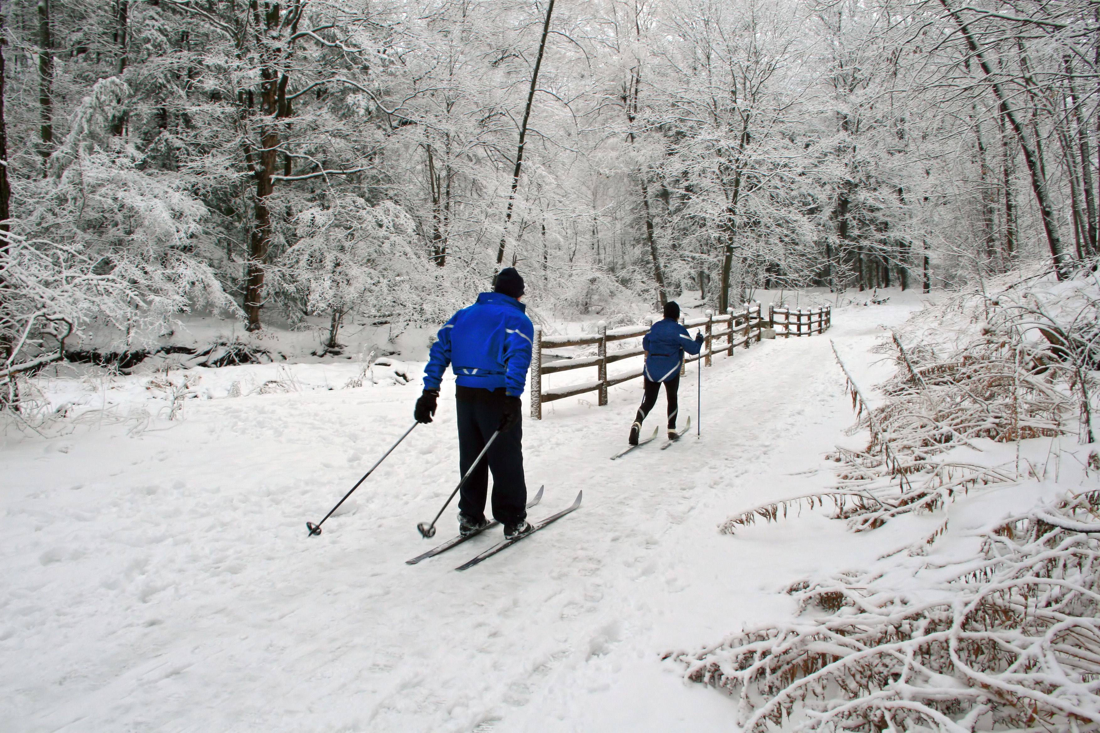 A snowy forest path with a wooden fence.