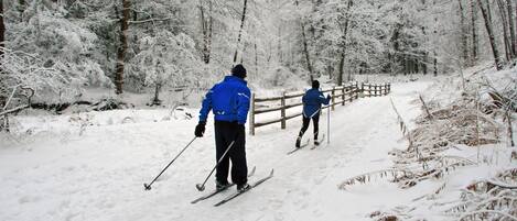 Un sentier enneigé à travers une forêt, bordé d’une clôture en bois.