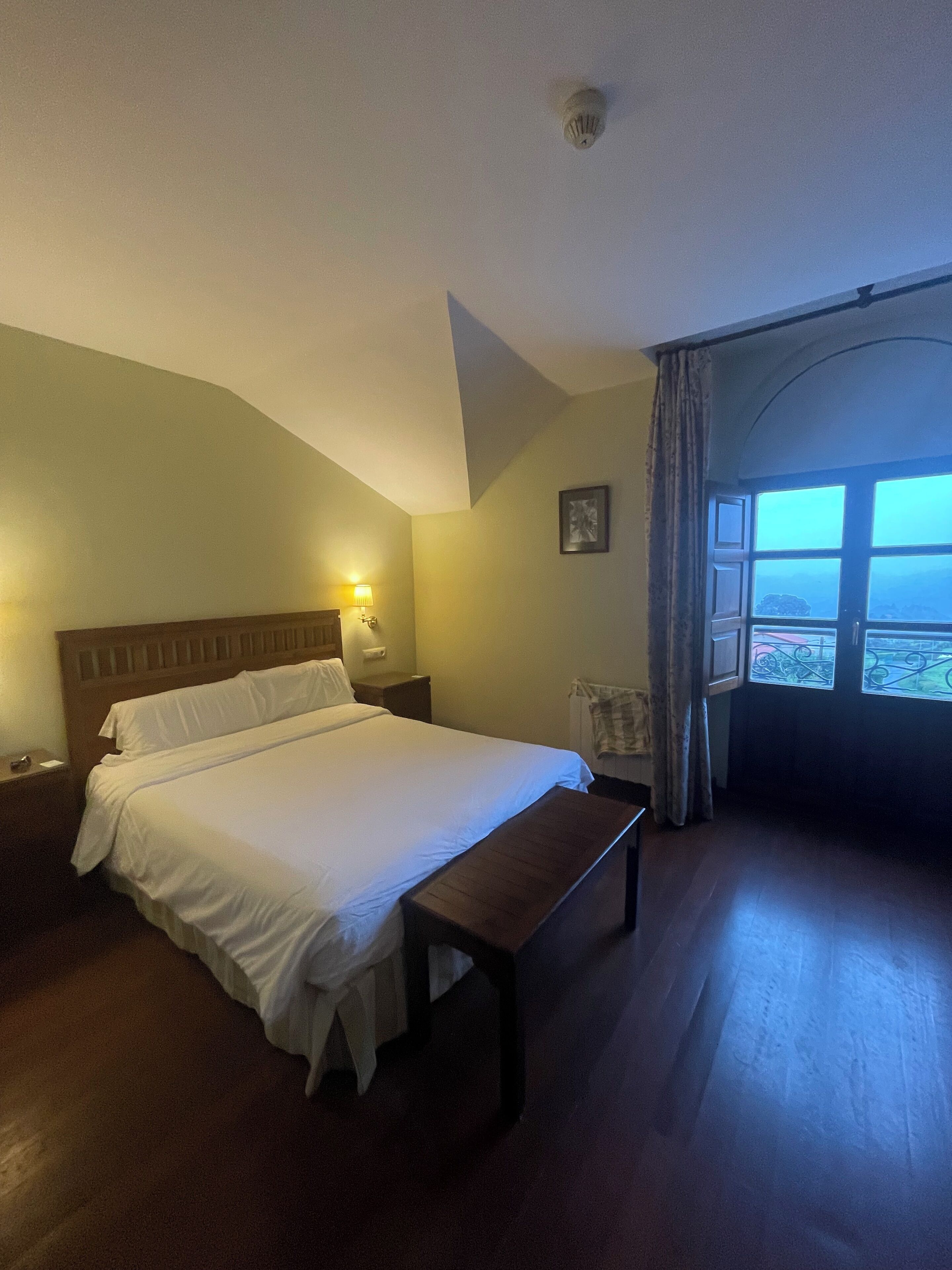 A hotel room with a large bed, a bedside table, a bench, a window with a view, and a ceiling light.