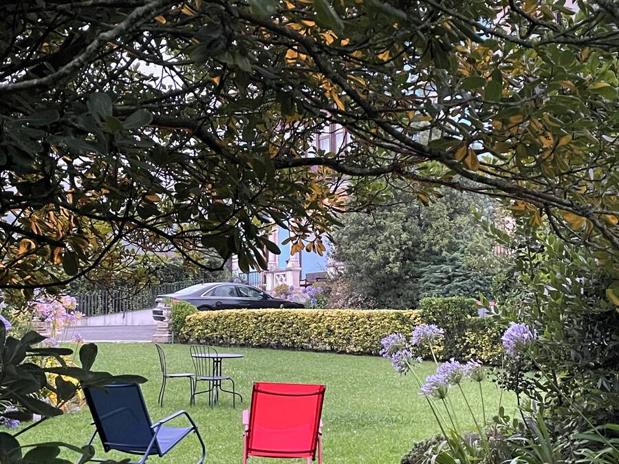 Een tuin met twee stoelen, een rode en een blauwe, en een haag op de achtergrond.