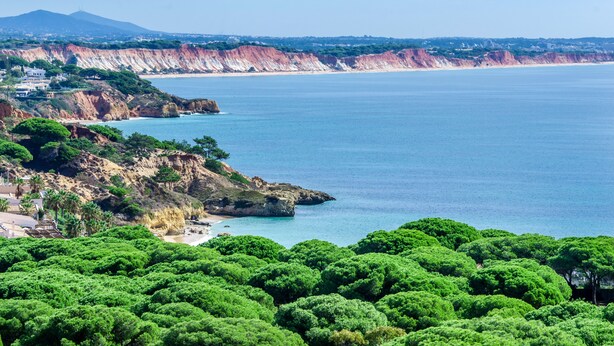 Paisaje costero con playa, acantilados y vegetación verde exuberante.