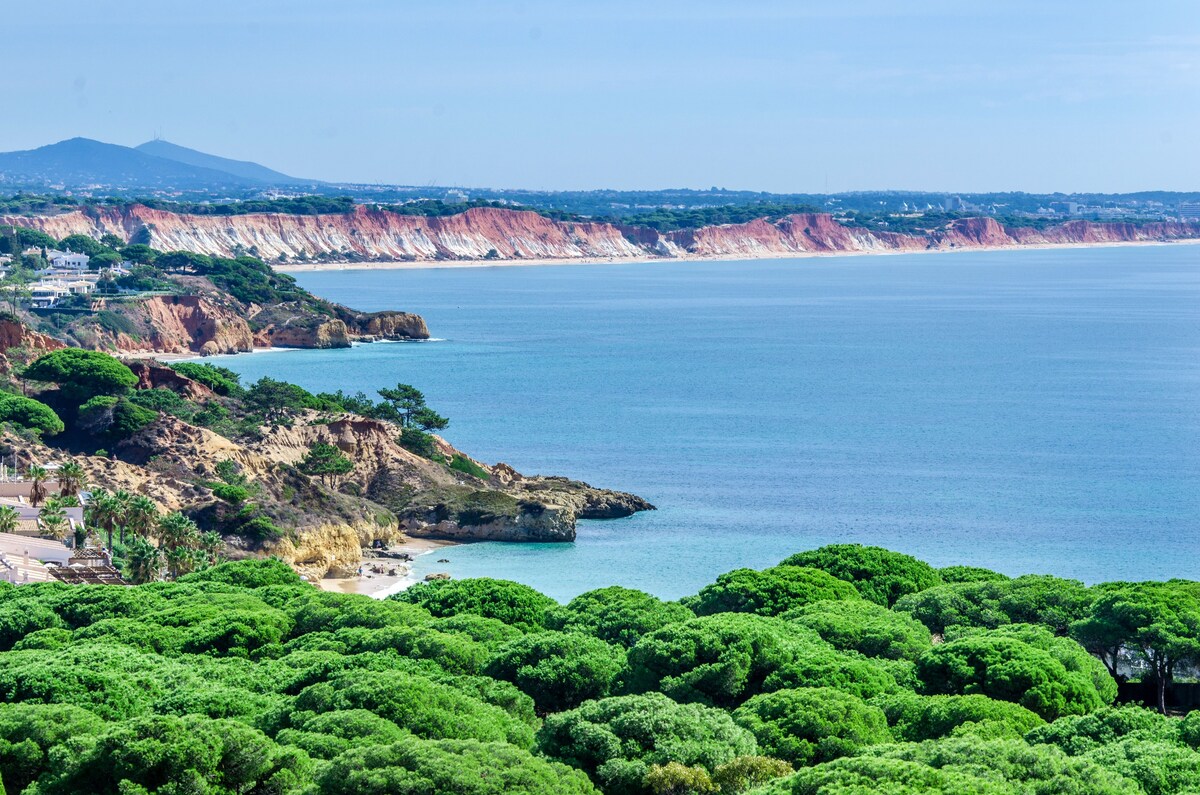 Aqua Pedra dos Bicos Design Beach Hotel Adults Friendly Reviews, Deals & Photos 2024 Expedia