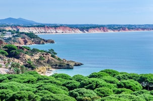 Vista desde la propiedad