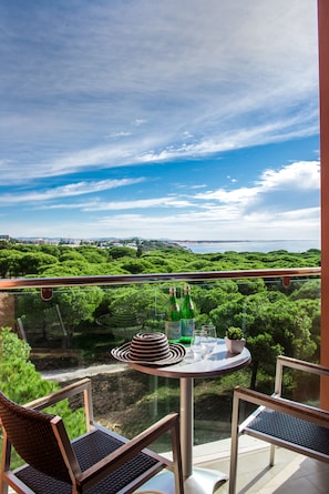 Superior Double or Twin Room | View from room