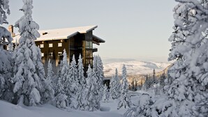 A modern multi-story building surrounded by snow-covered trees, with a view of distant mountains.