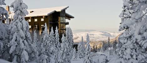 A modern multi-story building surrounded by snow-covered trees, with a view of distant mountains.