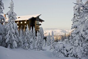 Exterior - Copperhill Mountain Lodge (Are)