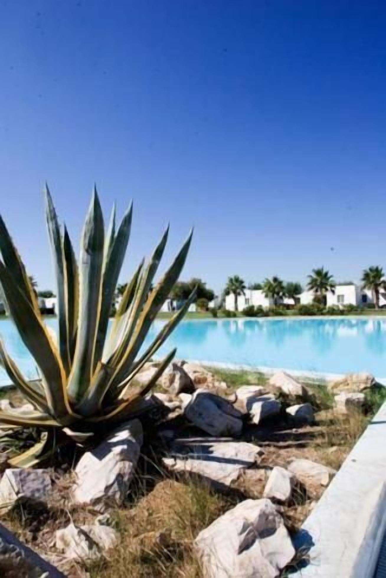 Outdoor pool, pool umbrellas