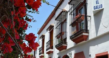 Hostal El Gallo