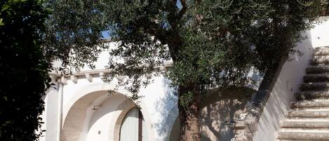 A stone staircase leading up to a white building with an arched doorway.