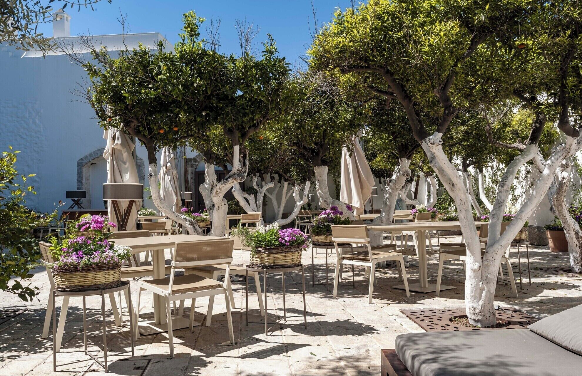 An outdoor seating area with tables and chairs, surrounded by trees and potted plants.