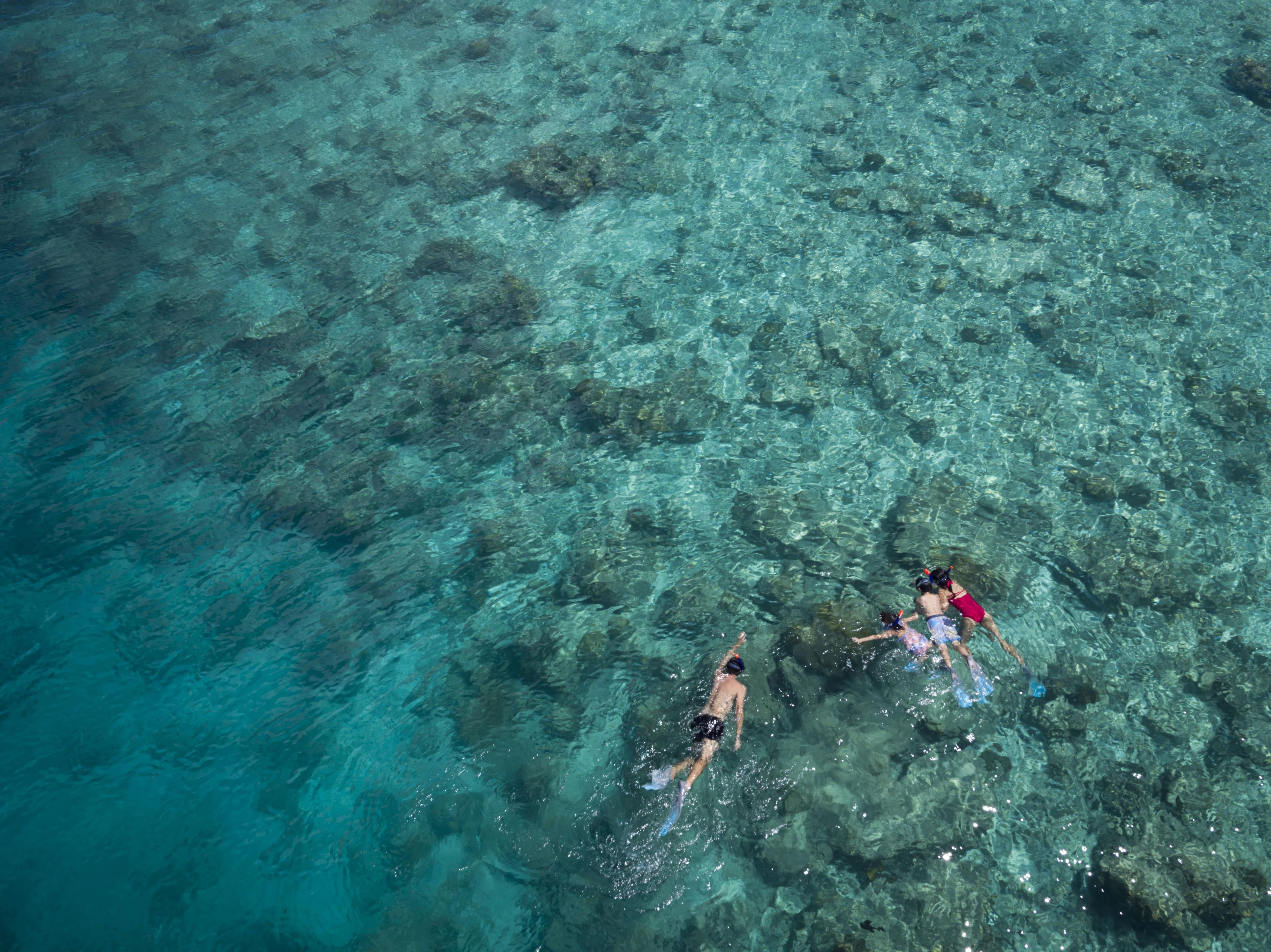 A clear view of a beach with people swimming and snorkeling.