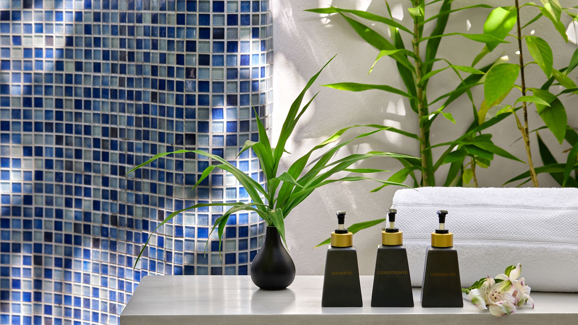A bathroom with a blue mosaic tile wall, a potted plant, and three bottles of toiletries on a white surface.
