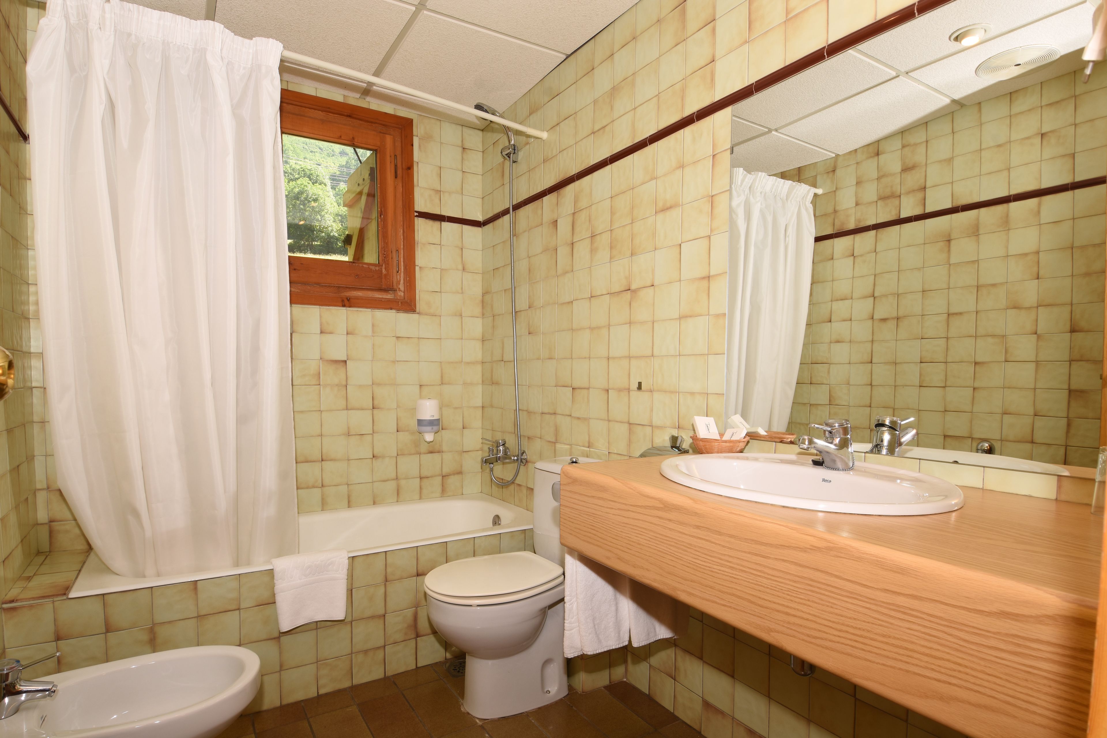 combined shower/bathtub, hair dryer, bidet, towels
