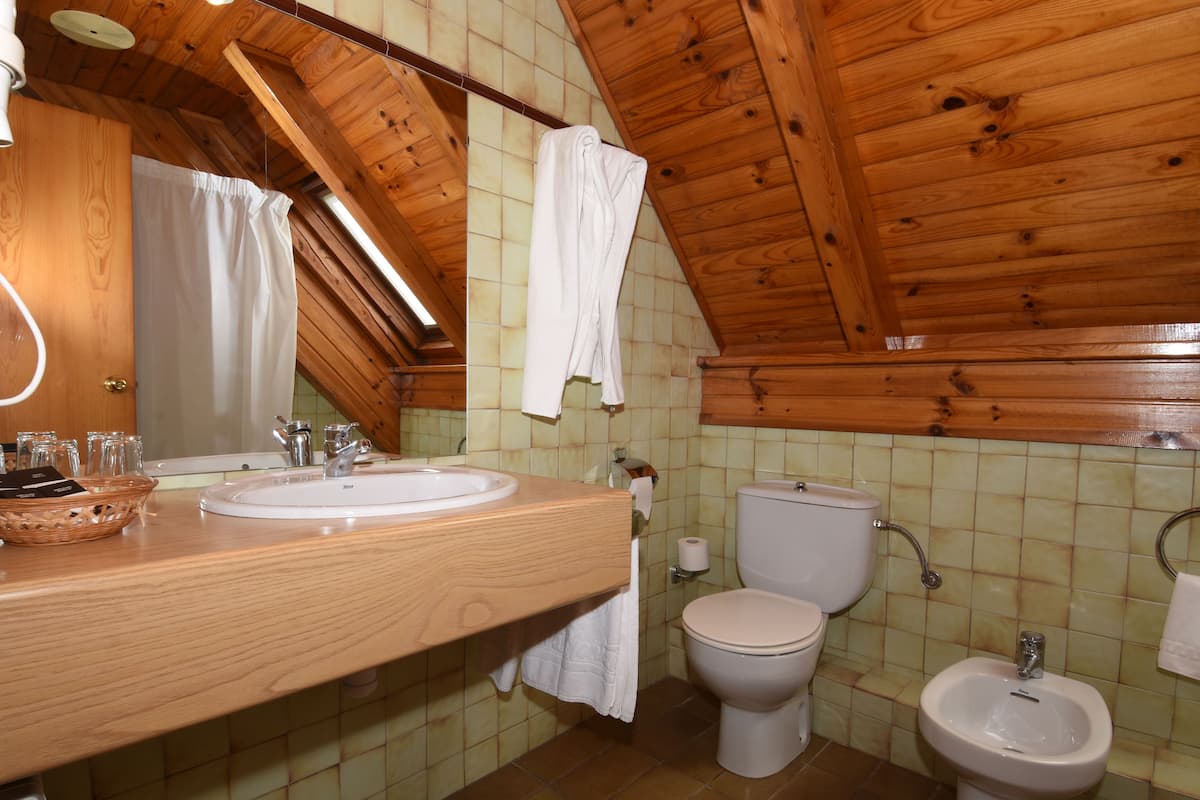 combined shower/bathtub, hair dryer, bidet, towels