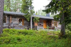 Une cabane en rondins avec une porte en bois et des volets aux fenêtres, entourée d’une végétation luxuriante et d’arbres.