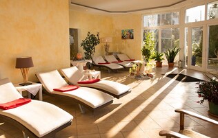 A sunlit indoor space with lounge chairs, a lamp, and potted plants.