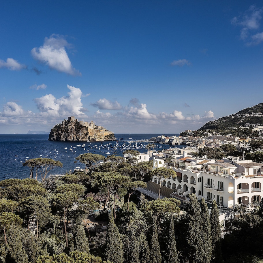A coastal town with a prominent castle-like structure on a cliff, surrounded by lush greenery and a marina with boats.