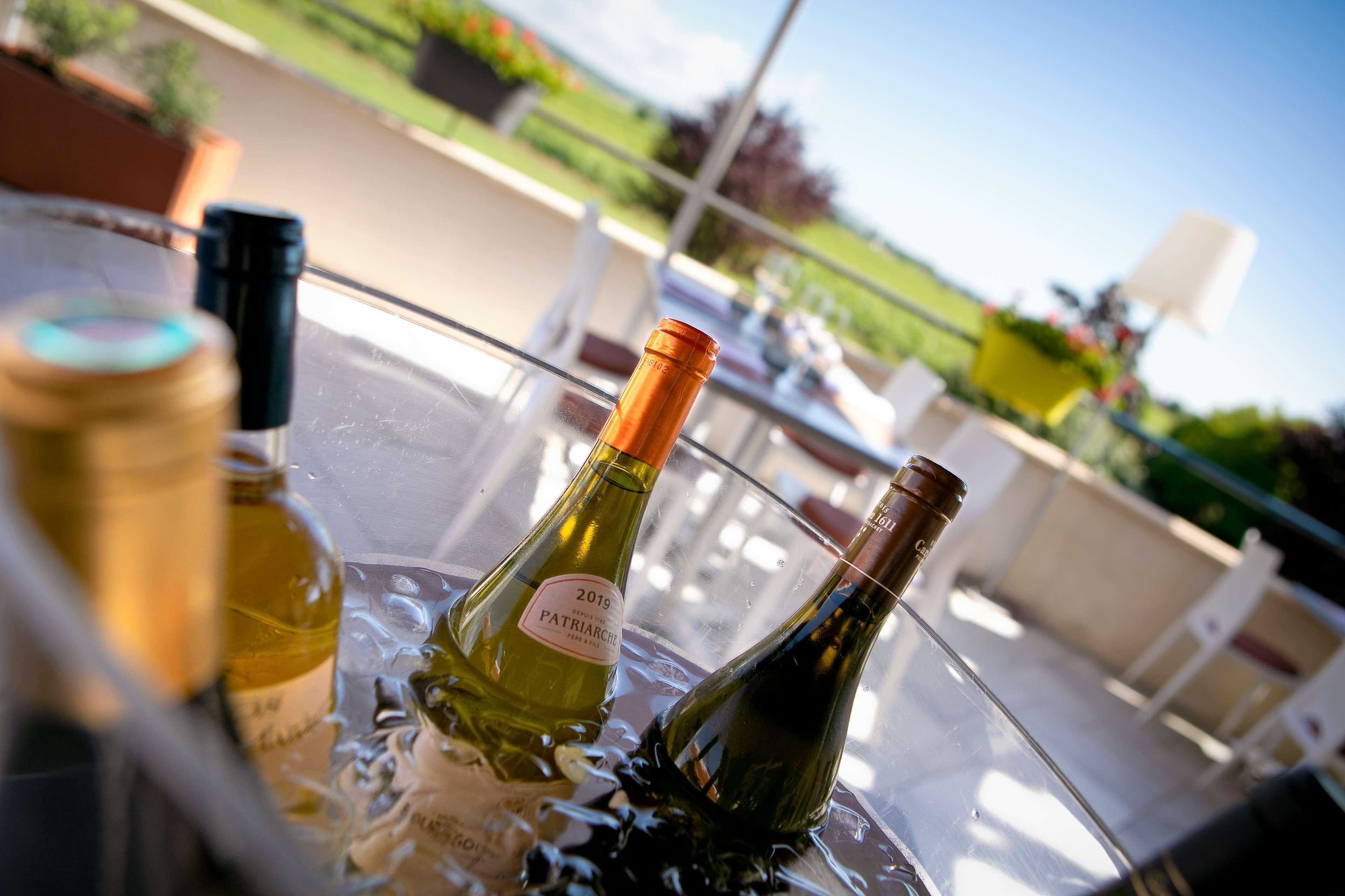 Two wine bottles in a glass container on a balcony with a view of a garden and a building in the background.