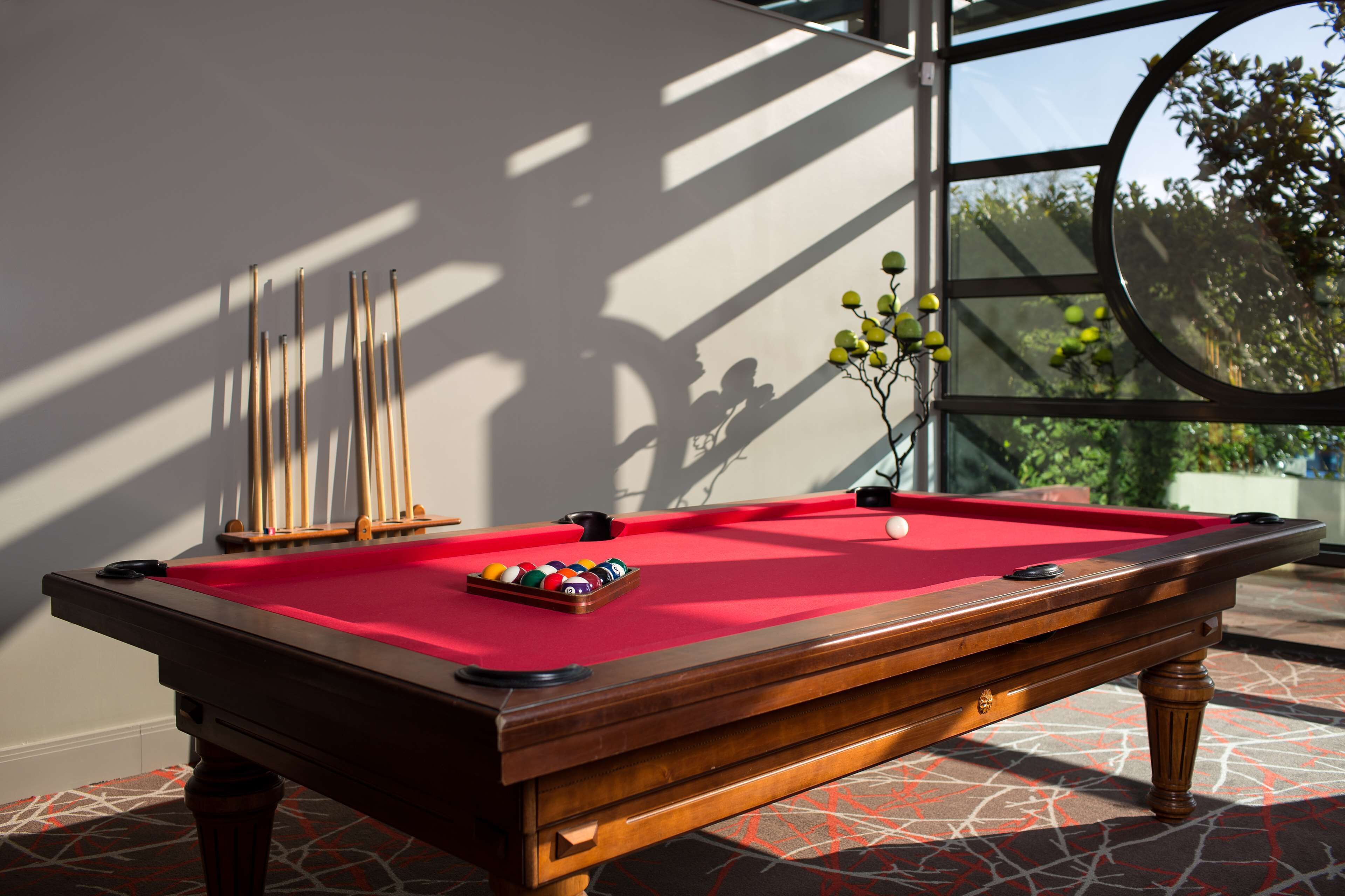Une table de billard avec des billes, une queue et une petite plante.