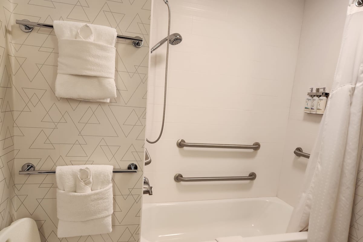 A modern bathroom with a shower, a bathtub, and two towel bars.