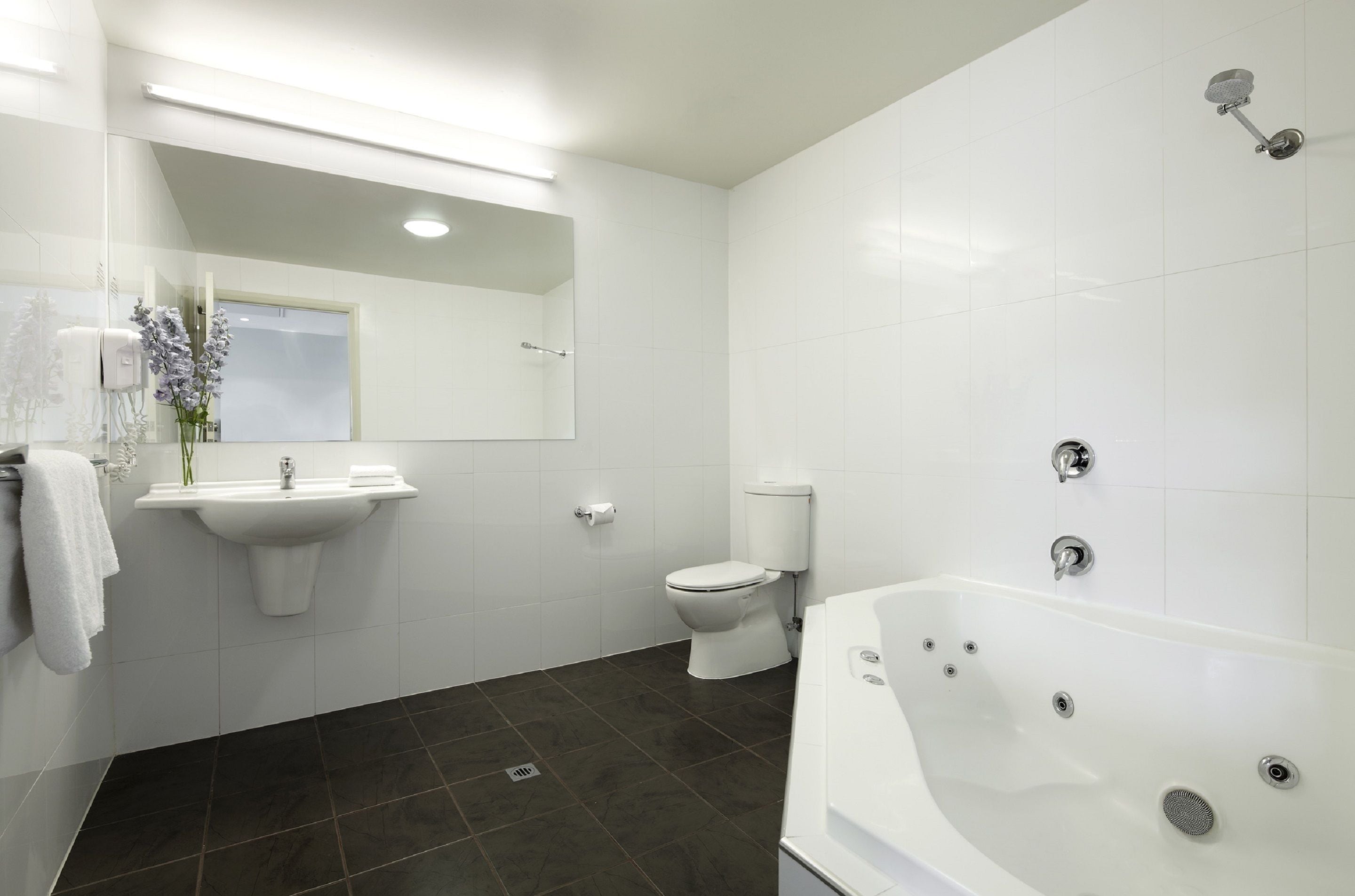 free toiletries, hair dryer, towels