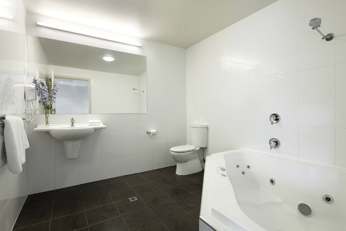 free toiletries, hair dryer, towels