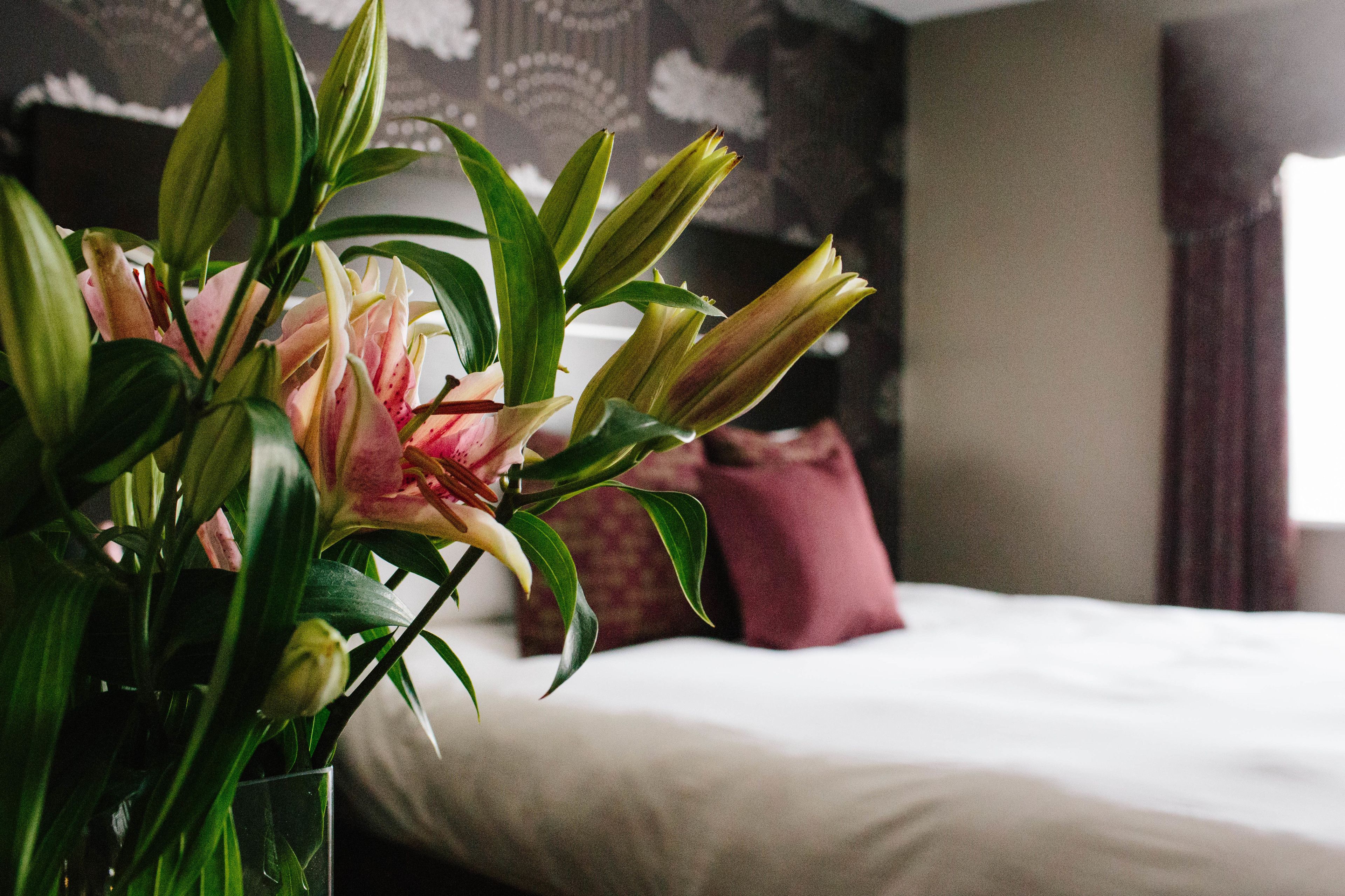 exclusive double room | egyptian cotton sheets, individually decorated, individually furnished