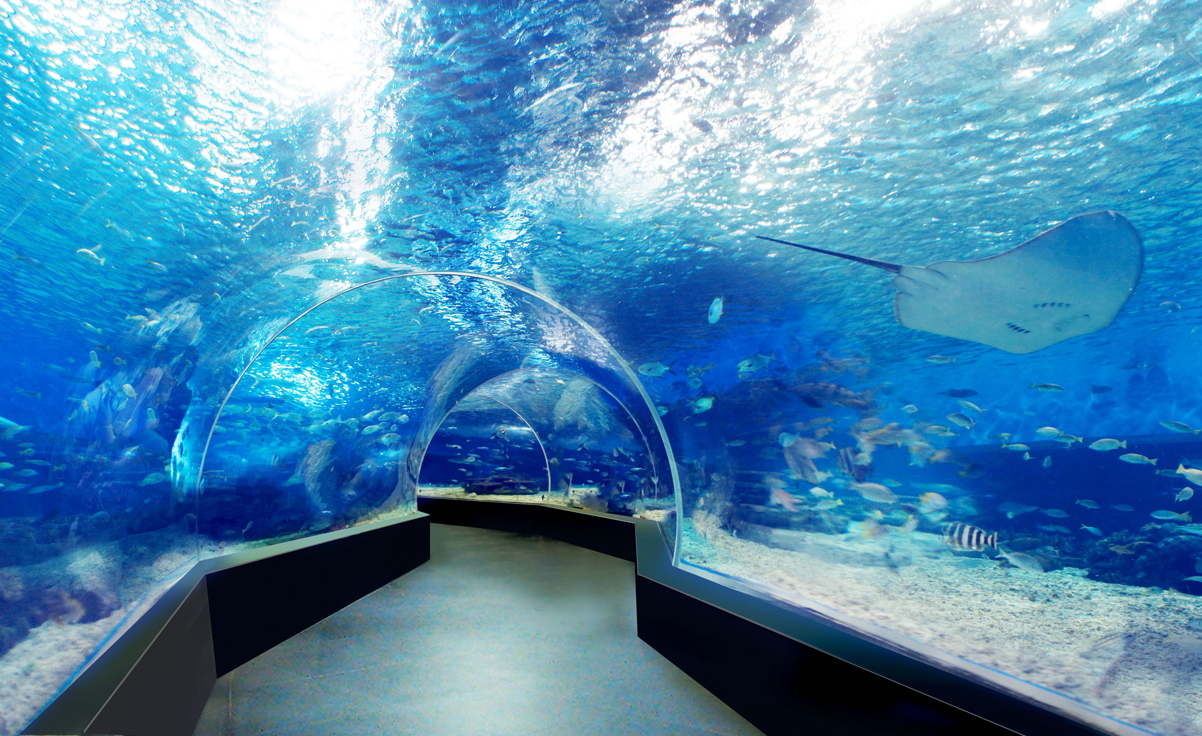 sauna, hot tub, body treatments, body scrubs, facials