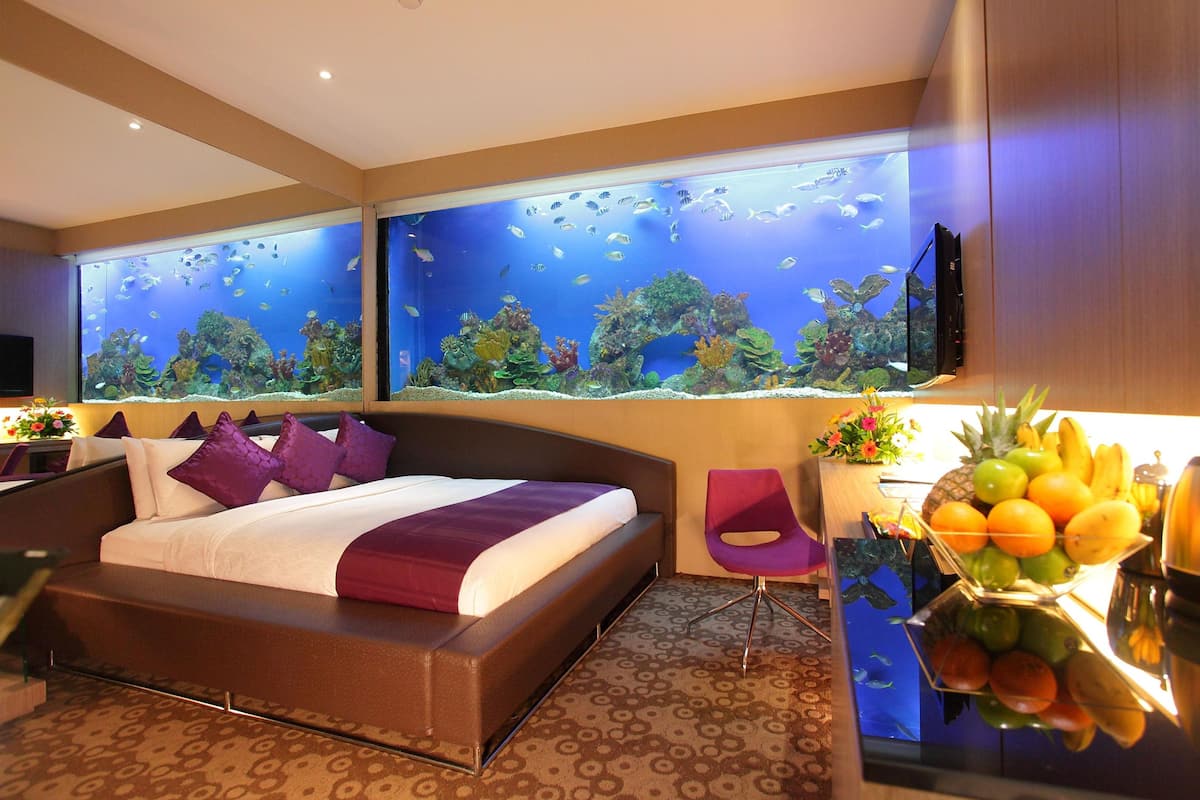 Aqua Room